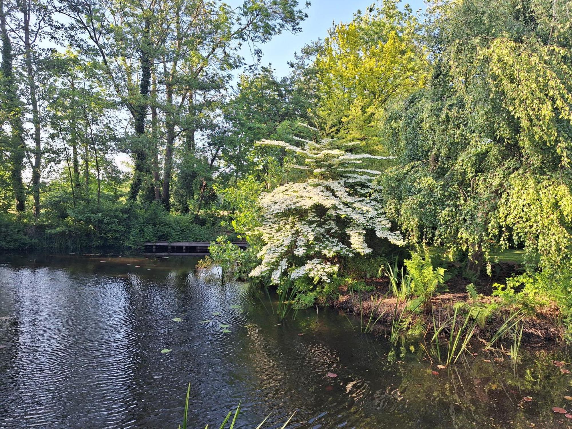 De Consistorie Βίλα Giethoorn Εξωτερικό φωτογραφία